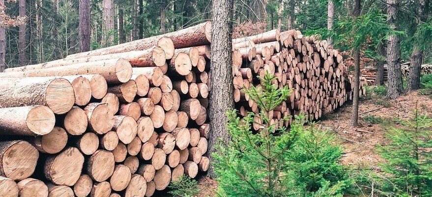Информационно-пропагандистское обеспечение нашей деятельности